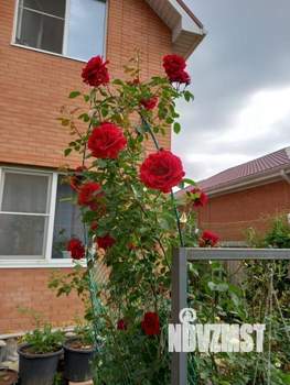 Дом 174м², 2-этажный, участок 3 сот.  