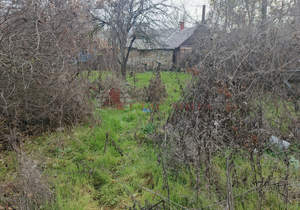 Дом 101м&sup2;, 1-этажный, участок 9 сот.  