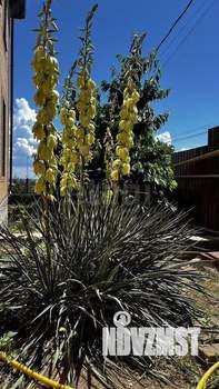 Дом 254м², 2-этажный, участок 5 сот.  