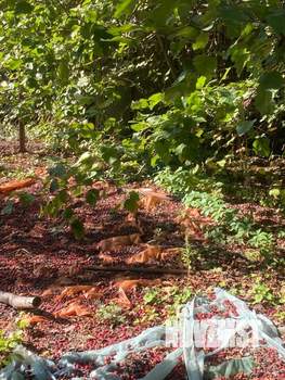 Дом 57м&sup2;, 2-этажный, участок 9 сот.  