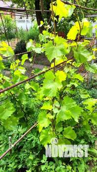 Дом 60м², 2-этажный, участок 5 сот.  