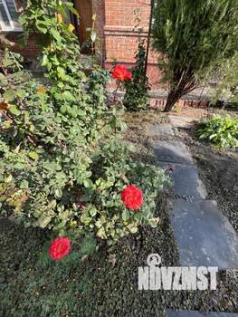 Дом 66м&sup2;, 1-этажный, участок 4 сот.  