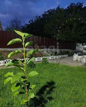 Дом 92м&sup2;, 1-этажный, участок 7 сот.  