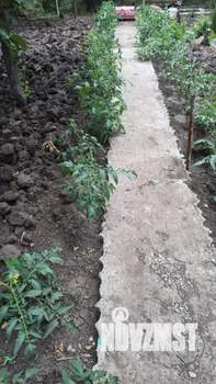 Дом 54м², 2-этажный, участок 10 сот.  