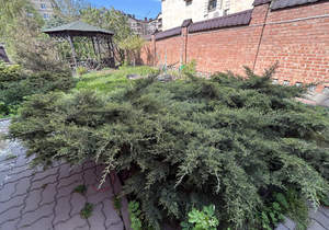 Дом 400м&sup2;, 3-этажный, участок 11 сот.  