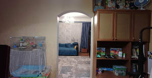 Дом 110м², 1-этажный, участок 3 сот.  