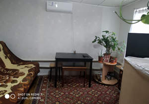 Дом 45м&sup2;, 1-этажный, участок 1 сот.  