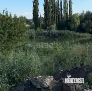 Дом 70м², 1-этажный, участок 4 сот.  
