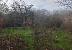 Дом 101м&sup2;, 1-этажный, участок 9 сот.  