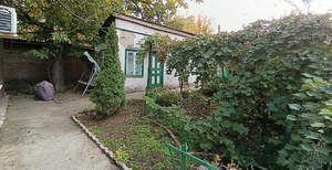 Дом 55м&sup2;, 1-этажный, участок 3 сот.  