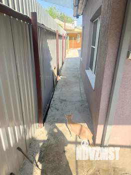 Дом 46м², 1-этажный, участок 10 сот.  