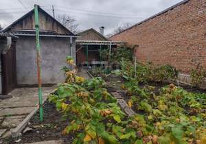 Дом 54м&sup2;, 1-этажный, участок 3 сот.  