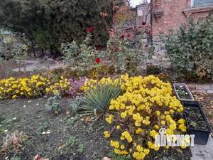 Дом 290м&sup2;, 2-этажный, участок 13 сот.  