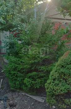 Дом 80м&sup2;, 1-этажный, участок 5 сот.  