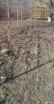 Дом 97м², 1-этажный, участок 5 сот.  