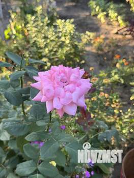 Дом 70м&sup2;, 2-этажный, участок 5 сот.  