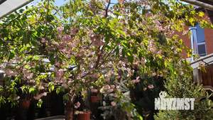 Дом 190м&sup2;, 2-этажный, участок 3 сот.  