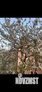 Дом 201м&sup2;, 3-этажный, участок 6 сот.  