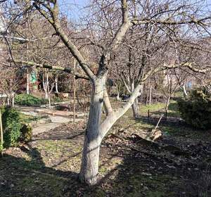 Дом 180м&sup2;, 2-этажный, участок 7 сот.  