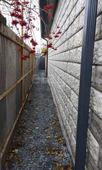 Дом 90м², 1-этажный, участок 3 сот.  