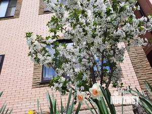 Дом 127м², 2-этажный, участок 3 сот.  