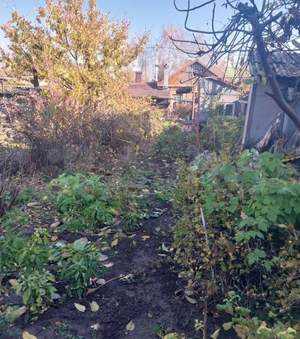 Дом 37м&sup2;, 1-этажный, участок 3 сот.  