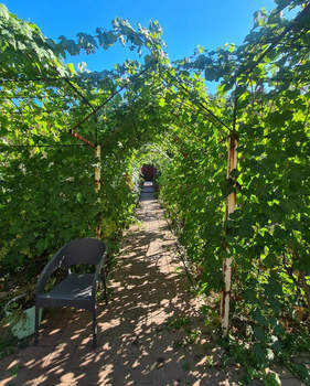 Дом 313м&sup2;, 2-этажный, участок 8 сот.  