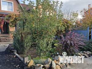 Дом 105м², 2-этажный, участок 3 сот.  