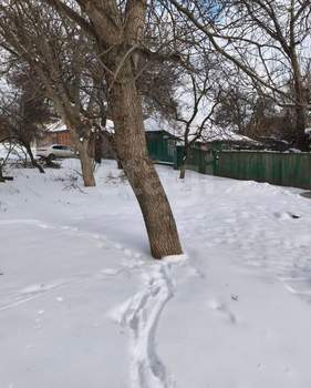 Дом 46м&sup2;, 1-этажный, участок 6 сот.  