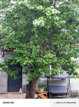 Дом 41м², 2-этажный, участок 3 сот.  