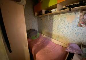 Дом 28м&sup2;, 1-этажный, участок 2 сот.  