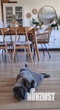 Дом 100м&sup2;, 2-этажный, участок 4 сот.  