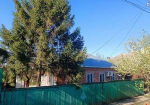 Дом 101м&sup2;, 1-этажный, участок 5 сот.  