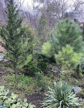 Дом 74м&sup2;, 2-этажный, участок 5 сот.  