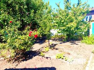 Дом 83м², 1-этажный, участок 4 сот.  