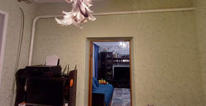 Дом 110м², 1-этажный, участок 3 сот.  