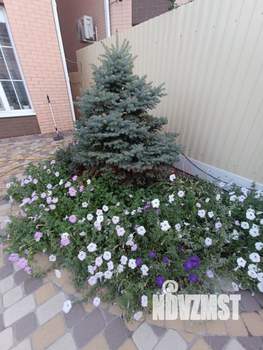 Коттедж 130м², 2-этажный, участок 3 сот.  