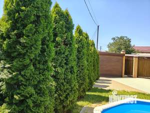 Дом 120м&sup2;, 2-этажный, участок 3 сот.  