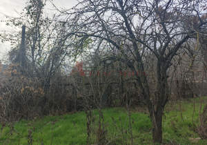 Дом 101м&sup2;, 1-этажный, участок 9 сот.  