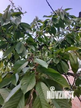 Дом 22м&sup2;, 1-этажный, участок 6 сот.  