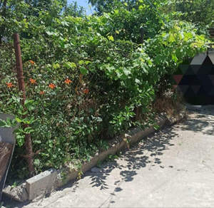 Дом 110м&sup2;, 2-этажный, участок 5 сот.  