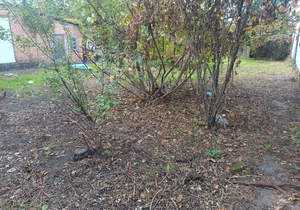 Дом 60м², 1-этажный, участок 5 сот.  