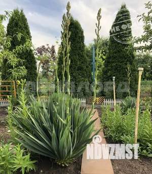 Дом 88м&sup2;, 2-этажный, участок 6 сот.  