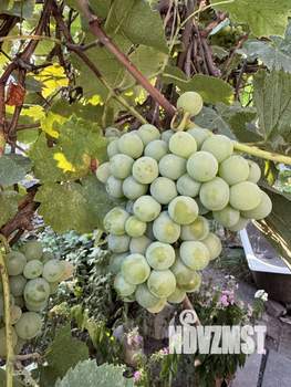 Дом 70м², 2-этажный, участок 5 сот.  