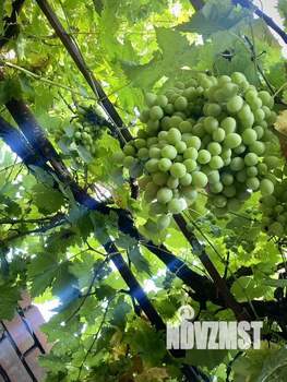 Дом 66м&sup2;, 1-этажный, участок 3 сот.  