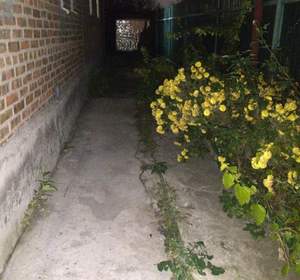 Дом 28м&sup2;, 1-этажный, участок 2 сот.  