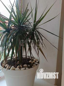 Дом 136м&sup2;, 2-этажный, участок 6 сот.  