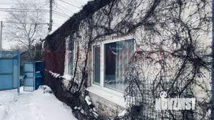 Дом 56м&sup2;, 1-этажный, участок 5 сот.  