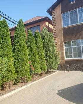 Дом 150м², 2-этажный, участок 6 сот.  