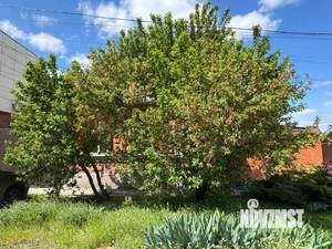 Дом 100м², 1-этажный, участок 5 сот.  